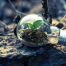 The Green Economy: How Small Businesses Are Leading the Sustainability Movement